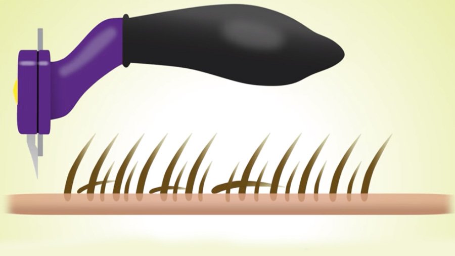 „Furminator