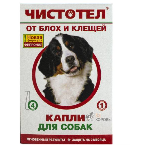 „glistnik