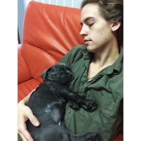 „Cole