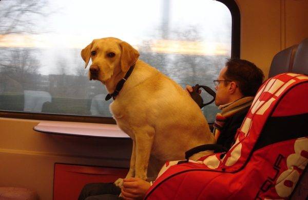 „Transport